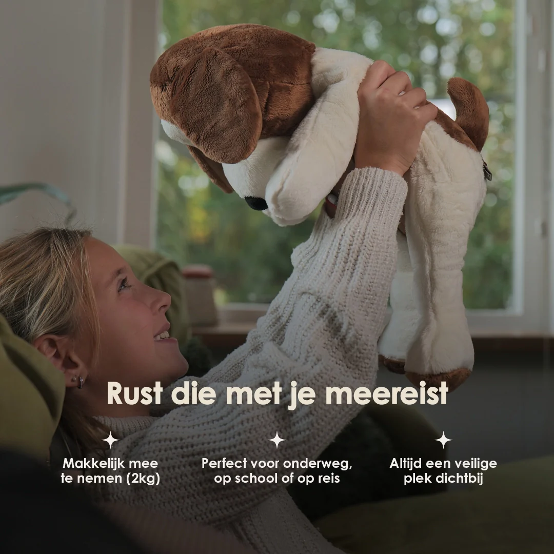 Productafbeelding 11